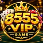 8555VIP Game