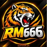 RM666 Game