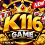 K116 Game